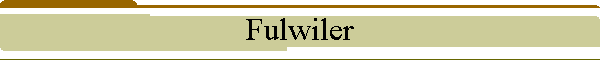 Fulwiler